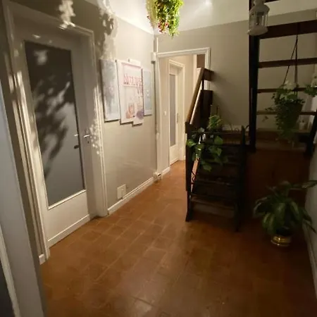 多拉丽丝住宿加早餐旅馆